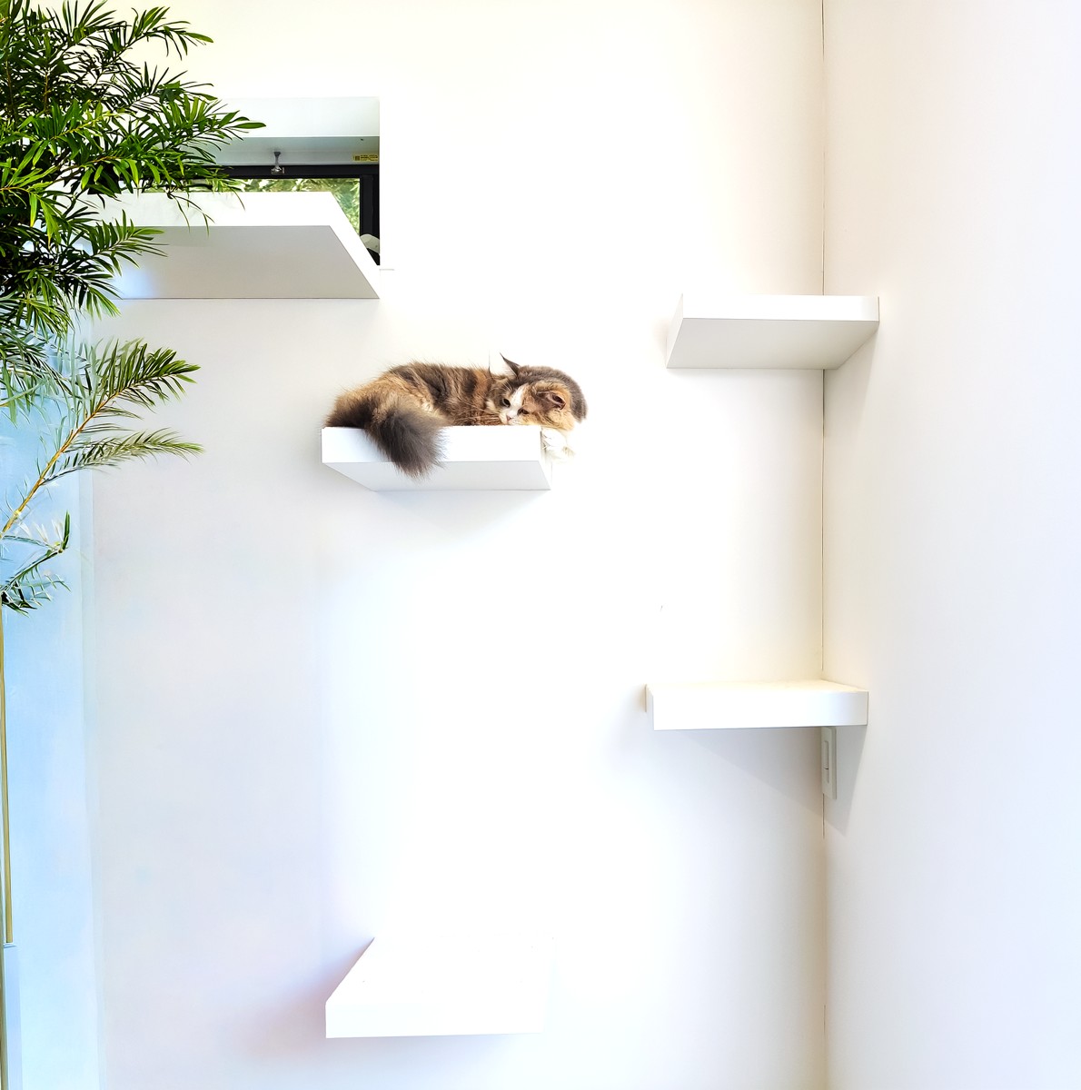 猫と快適に暮らすキャットステップ