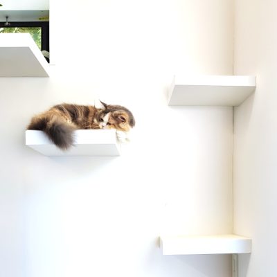 ペットと暮らす工夫