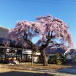 H様邸の工事は順調に進んでおります。【注文住宅】